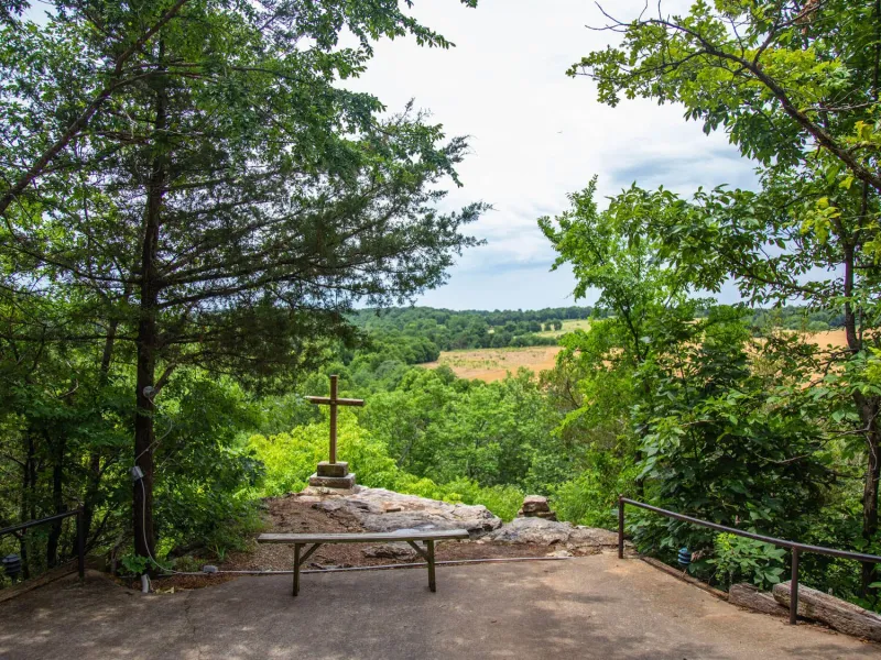 Trees surrounding the best view of the valley spread below